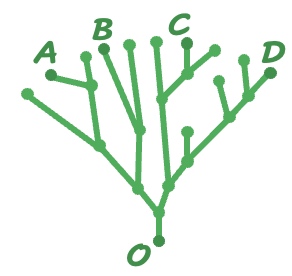 Data Analysis K11