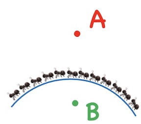 Algebra K12