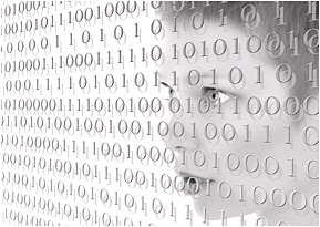Data Analysis K12